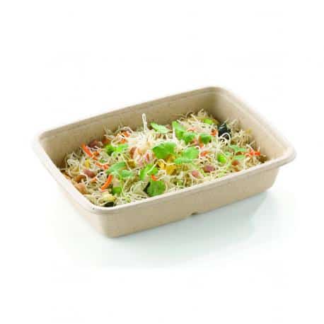 BARQUETTE RECTANGULAIRE 600ML CANNE A SUCRE /300 23X16 H3CM BARQUETTE RECTANGULAIRE 600ML CANNE A SUCRE /300 23X16 H3CM