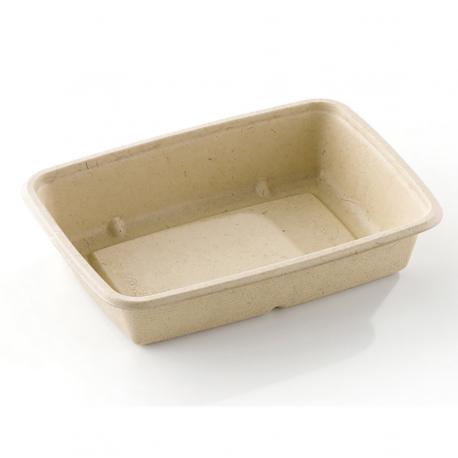 BARQUETTE RECTANGULAIRE 950ML CANNE A SUCRE /300 23X16 H5CM BARQUETTE RECTANGULAIRE 950ML CANNE A SUCRE /300 23X16 H5CM