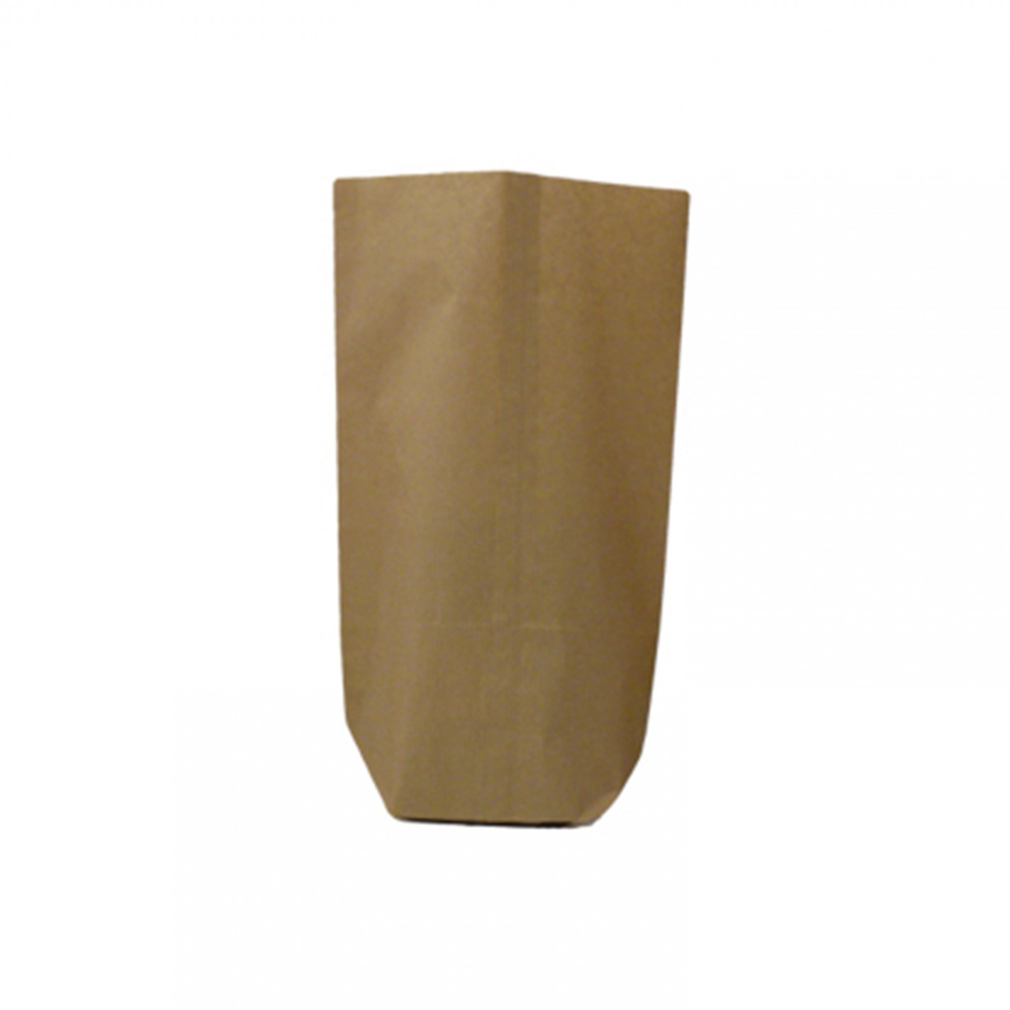 SAC ECORNE SIMPLE KRAFT BRUN 100X185MM N°4 50G