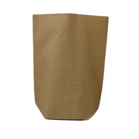 SAC ECORNE SIMPLE KRAFT BRUN 250X385MM N°12 60G