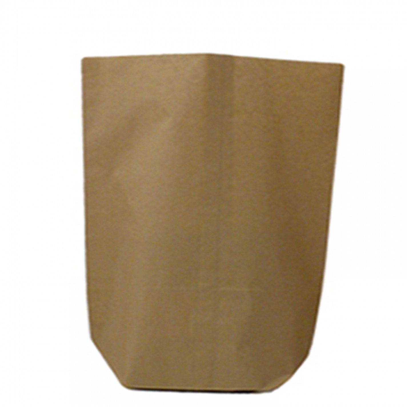 SAC ECORNE DOUBLE KRAFT BRUN 330X490MM N°16 2X70G