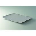 PLATEAU TRAITEUR 25X34CM ARGENT INTERIEUR