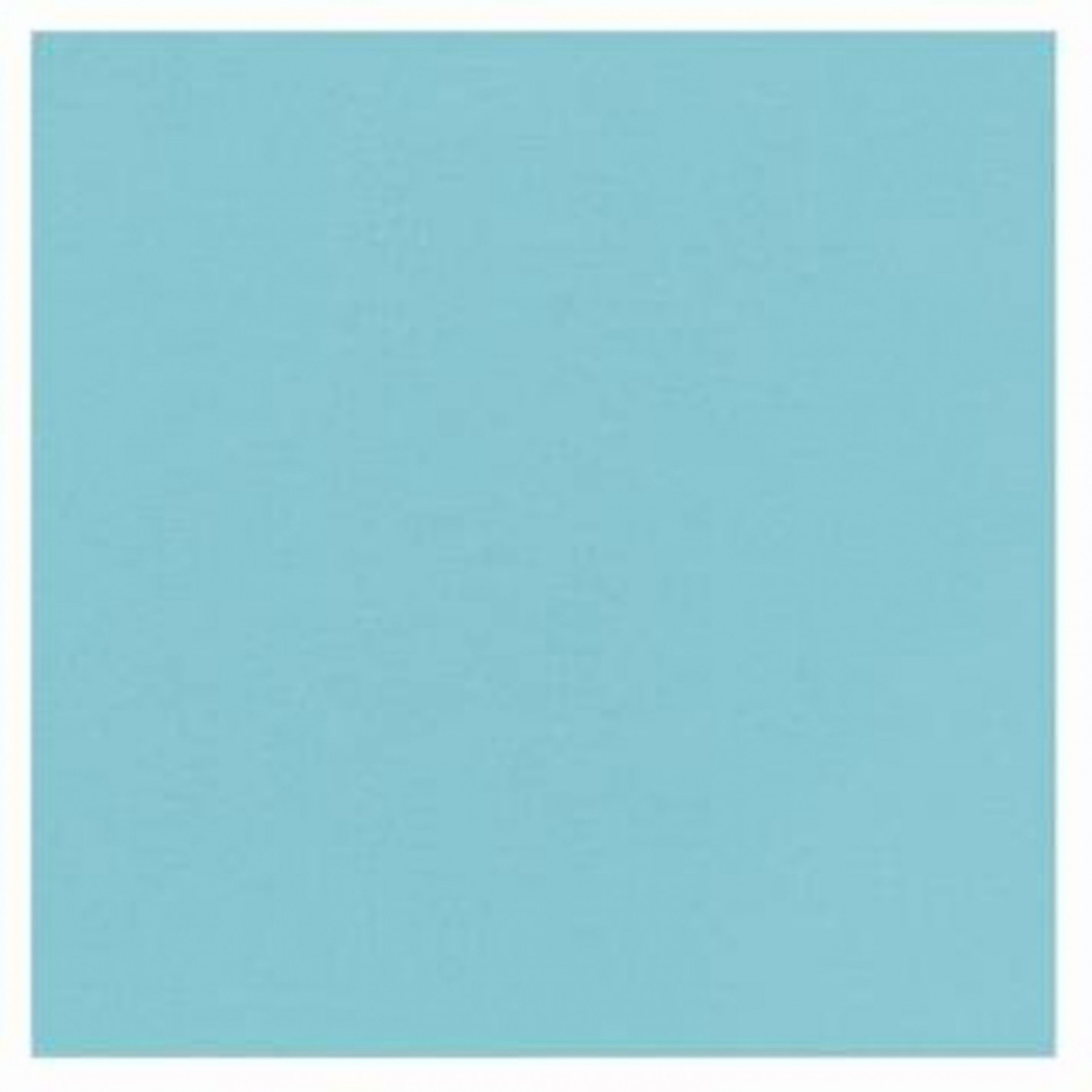 SERVIETTE DUNISOFT 40X40 MENTHE BLEUE 55 GRS /60 SERVIETTE DUNISOFT 40X40 MENTHE BLEUE 55 GRS /60