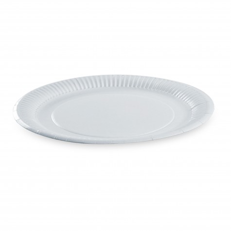 ASSIETTE CARTON BLANC D.23CM /100